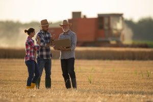 Fusões e aquisições ganham impulso no setor do agronegócio