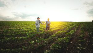 PIB do agronegócio tem projeção otimista de crescimento e pode atingir R$ 2,65 trilhões em 2023